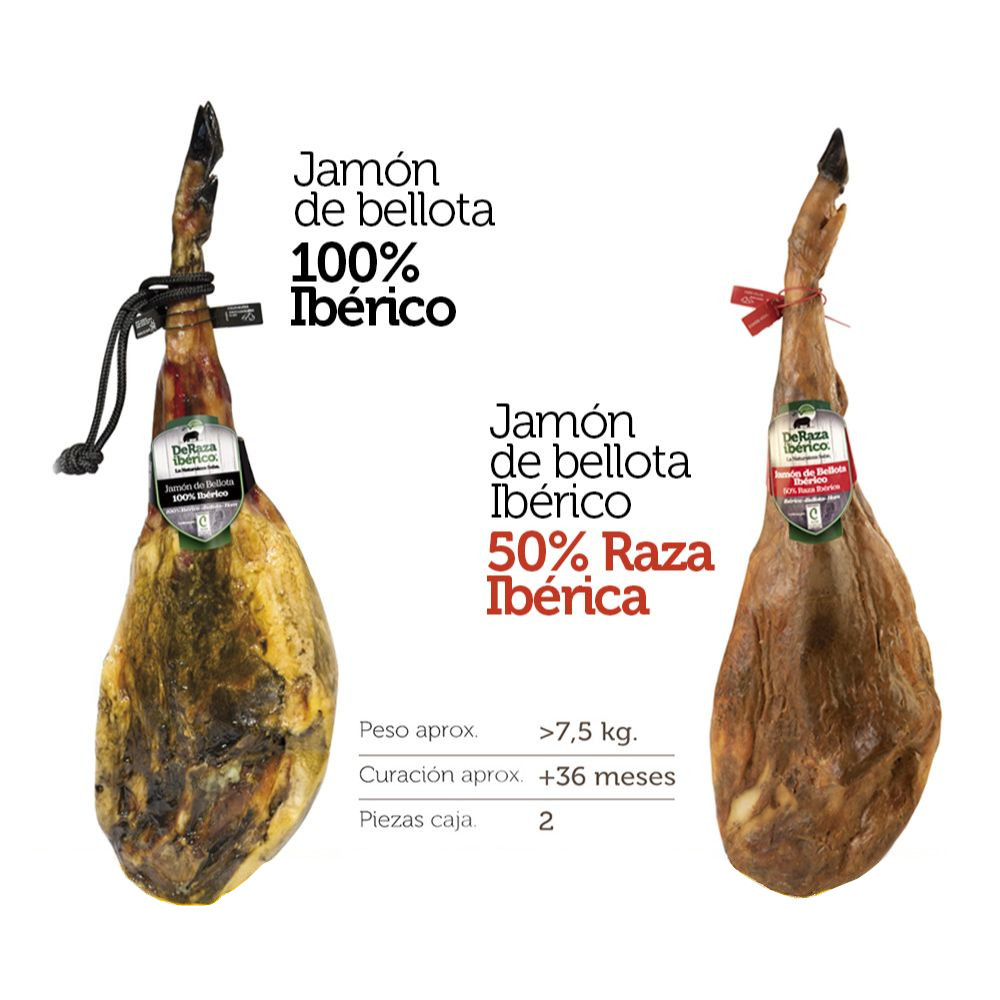 Jamón de bellota ibérico-image