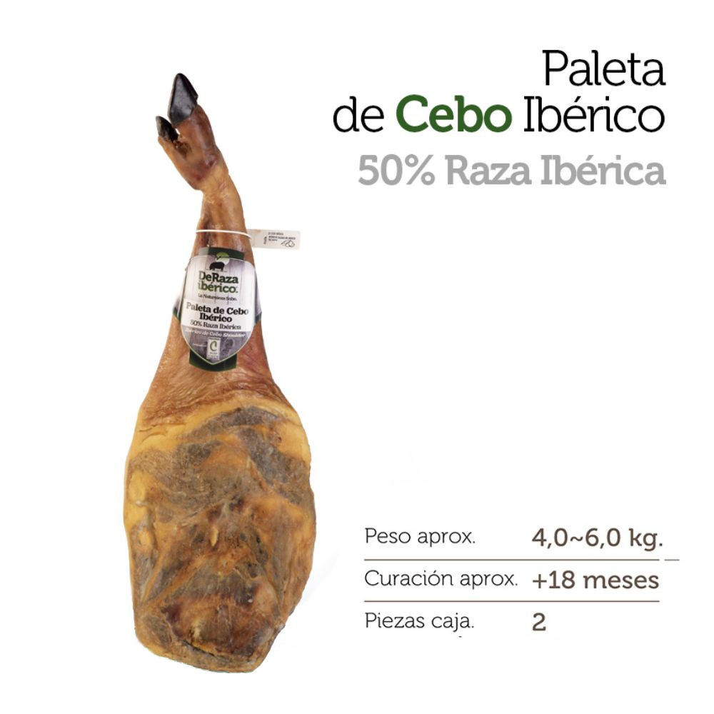 Paleta de cebo ibérica-image